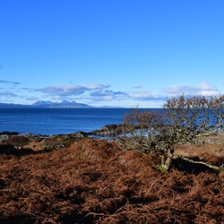 2018-11 Scotland/Glenuig/DSC_7122.JPG